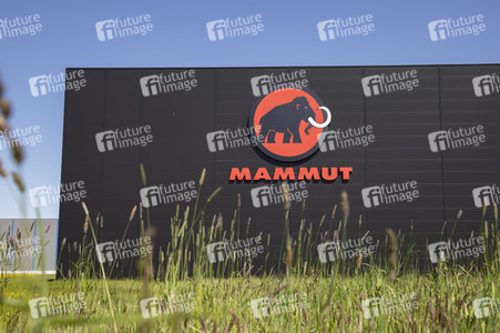 Symbolfoto Mammut