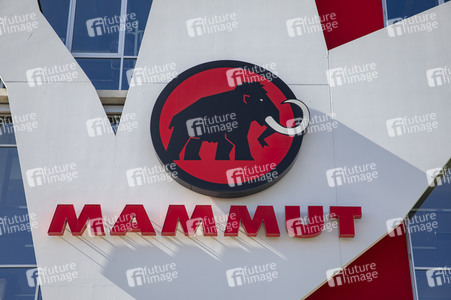 Symbolfoto Mammut