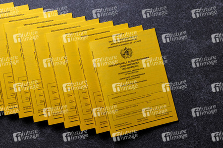 Symbolfoto Impfpässe