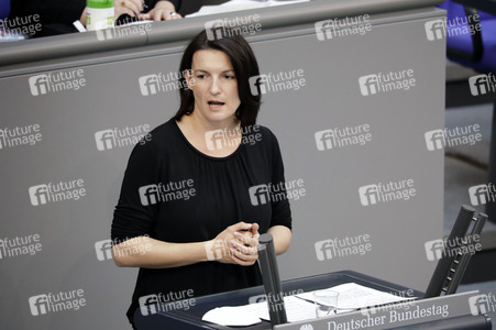 233. Sitzung des Deutschen Bundestages in Berlin