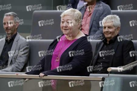 233. Sitzung des Deutschen Bundestages in Berlin