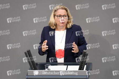 233. Sitzung des Deutschen Bundestages in Berlin