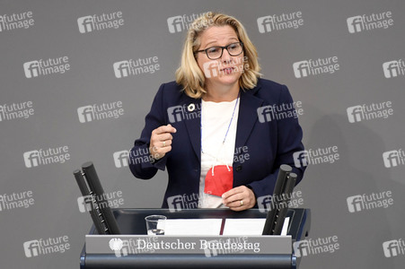 233. Sitzung des Deutschen Bundestages in Berlin