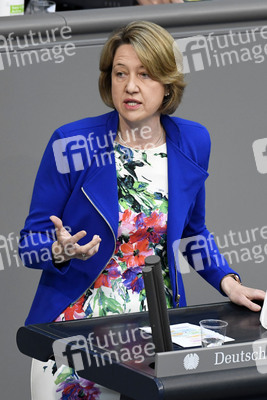 233. Sitzung des Deutschen Bundestages in Berlin