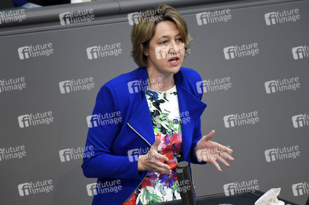 233. Sitzung des Deutschen Bundestages in Berlin