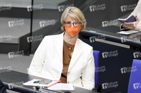 233. Sitzung des Deutschen Bundestages in Berlin