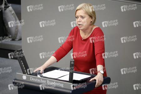 234. Sitzung des Deutschen Bundestages in Berlin