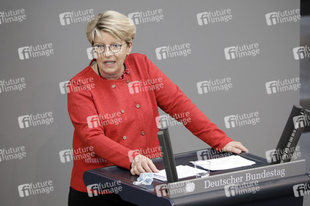 234. Sitzung des Deutschen Bundestages in Berlin