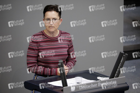 234. Sitzung des Deutschen Bundestages in Berlin