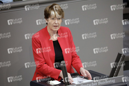 234. Sitzung des Deutschen Bundestages in Berlin