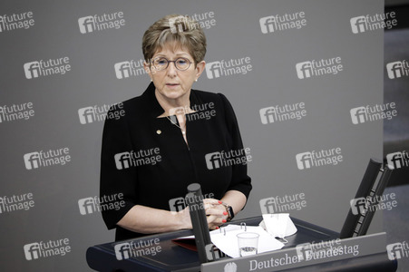 234. Sitzung des Deutschen Bundestages in Berlin