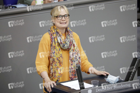 234. Sitzung des Deutschen Bundestages in Berlin