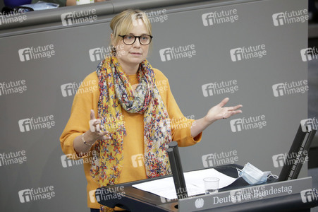 234. Sitzung des Deutschen Bundestages in Berlin