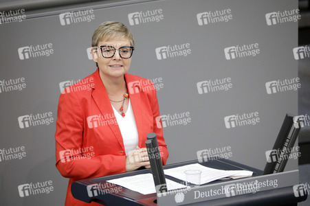 234. Sitzung des Deutschen Bundestages in Berlin