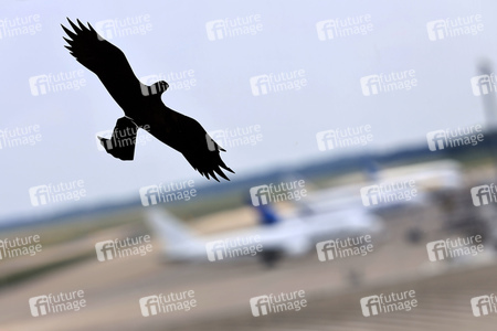 Symbolfoto Köln Bonn Airport