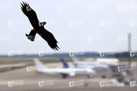 Symbolfoto Köln Bonn Airport