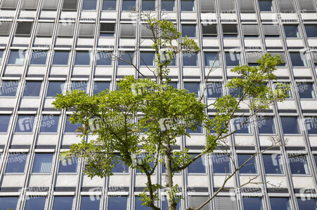 Regierungssitz und Bundesviertel in Bonn