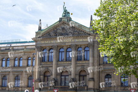 Regierungssitz und Bundesviertel in Bonn