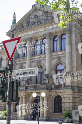 Regierungssitz und Bundesviertel in Bonn