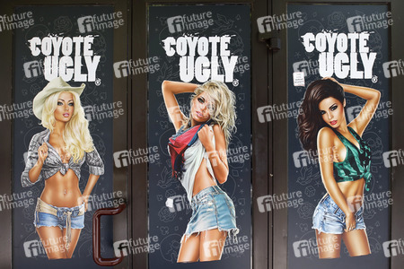 Symbolfoto Coyote Ugly Bar
