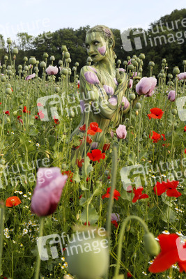 NATURE ART: Mohnfeld / Poppy Field Bodypainting