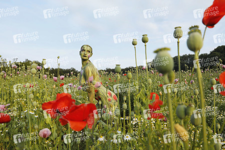 NATURE ART: Mohnfeld / Poppy Field Bodypainting
