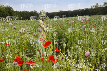 NATURE ART: Mohnfeld / Poppy Field Bodypainting