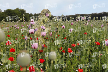 NATURE ART: Mohnfeld / Poppy Field Bodypainting