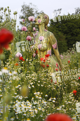 NATURE ART: Mohnfeld / Poppy Field Bodypainting