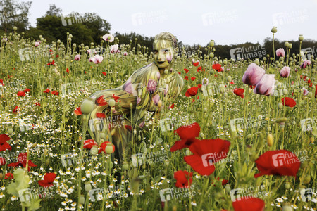 NATURE ART: Mohnfeld / Poppy Field Bodypainting