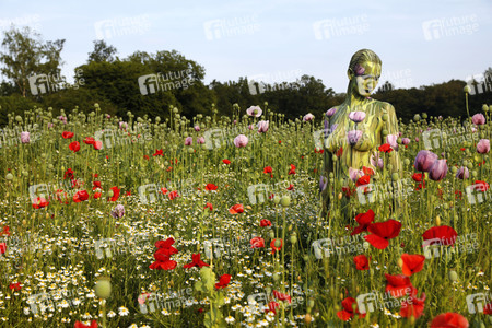 NATURE ART: Mohnfeld / Poppy Field Bodypainting