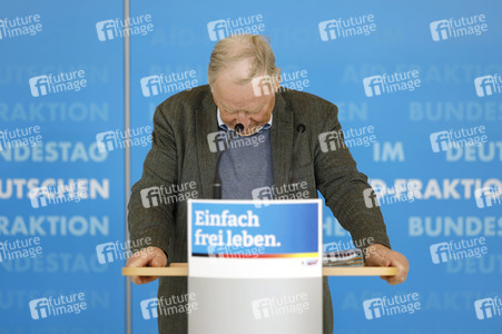 Pressestatement der AfD in Berlin