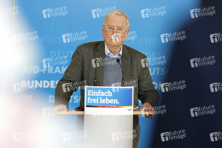 Pressestatement der AfD in Berlin
