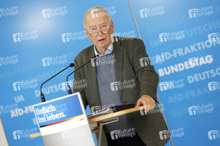 Pressestatement der AfD in Berlin