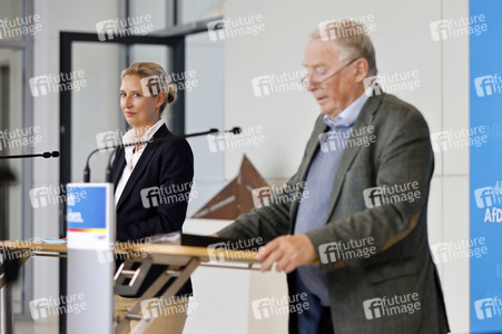 Pressestatement der AfD in Berlin