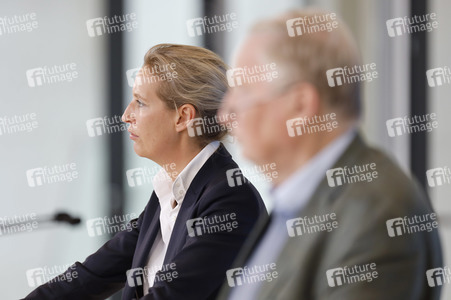 Pressestatement der AfD in Berlin