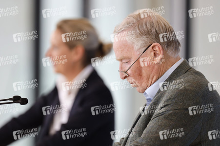 Pressestatement der AfD in Berlin
