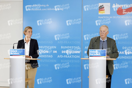 Pressestatement der AfD in Berlin