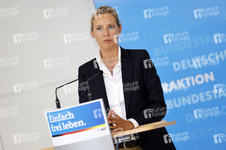 Pressestatement der AfD in Berlin