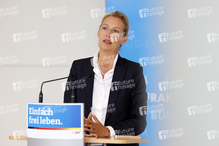 Pressestatement der AfD in Berlin