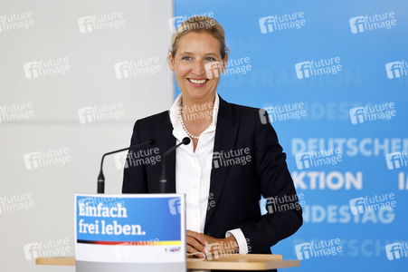 Pressestatement der AfD in Berlin