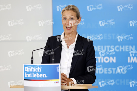 Pressestatement der AfD in Berlin