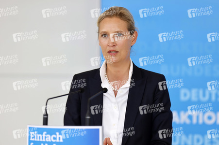 Pressestatement der AfD in Berlin