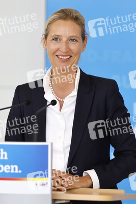 Pressestatement der AfD in Berlin