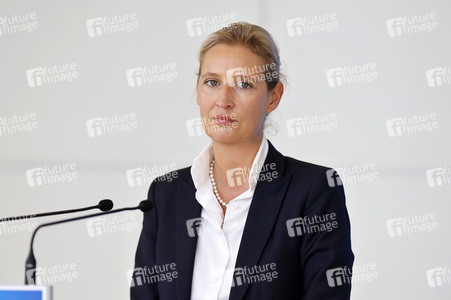 Pressestatement der AfD in Berlin