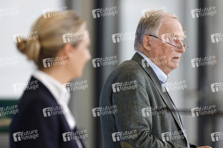Pressestatement der AfD in Berlin
