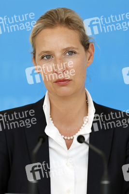 Pressestatement der AfD in Berlin