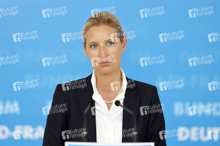 Pressestatement der AfD in Berlin