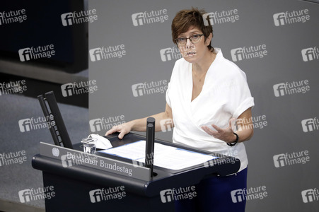 235. Sitzung des Deutschen Bundestages in Berlin