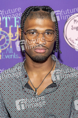 Musikvideo-Premiere 'Home of the Brave' in Los Angeles